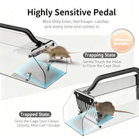 Transparent automatic mouse trap