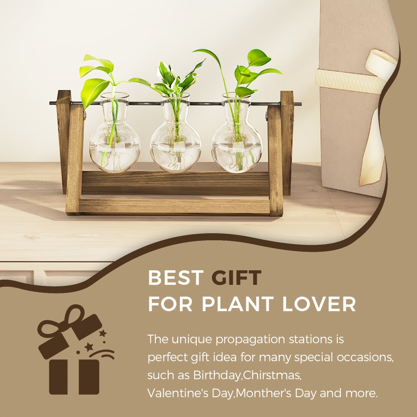 Glass Terrarium Heart Shaped Hydroponic Vase with Wooden Stand - Elegant Plant Propagation Station for Home Decor, Romantic Gift Idea for Women Plant Lovers, Boho Desk Decor