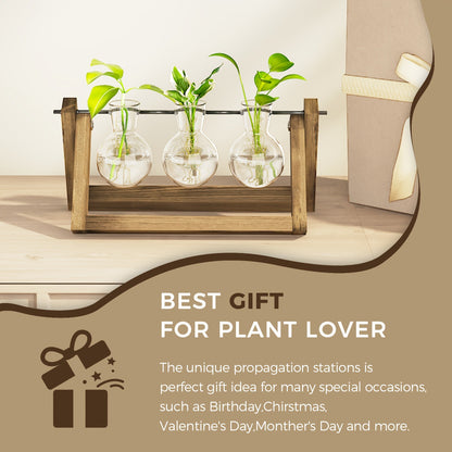 Glass Terrarium Heart Shaped Hydroponic Vase with Wooden Stand - Elegant Plant Propagation Station for Home Decor, Romantic Gift Idea for Women Plant Lovers, Boho Desk Decor