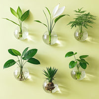 6pcs
