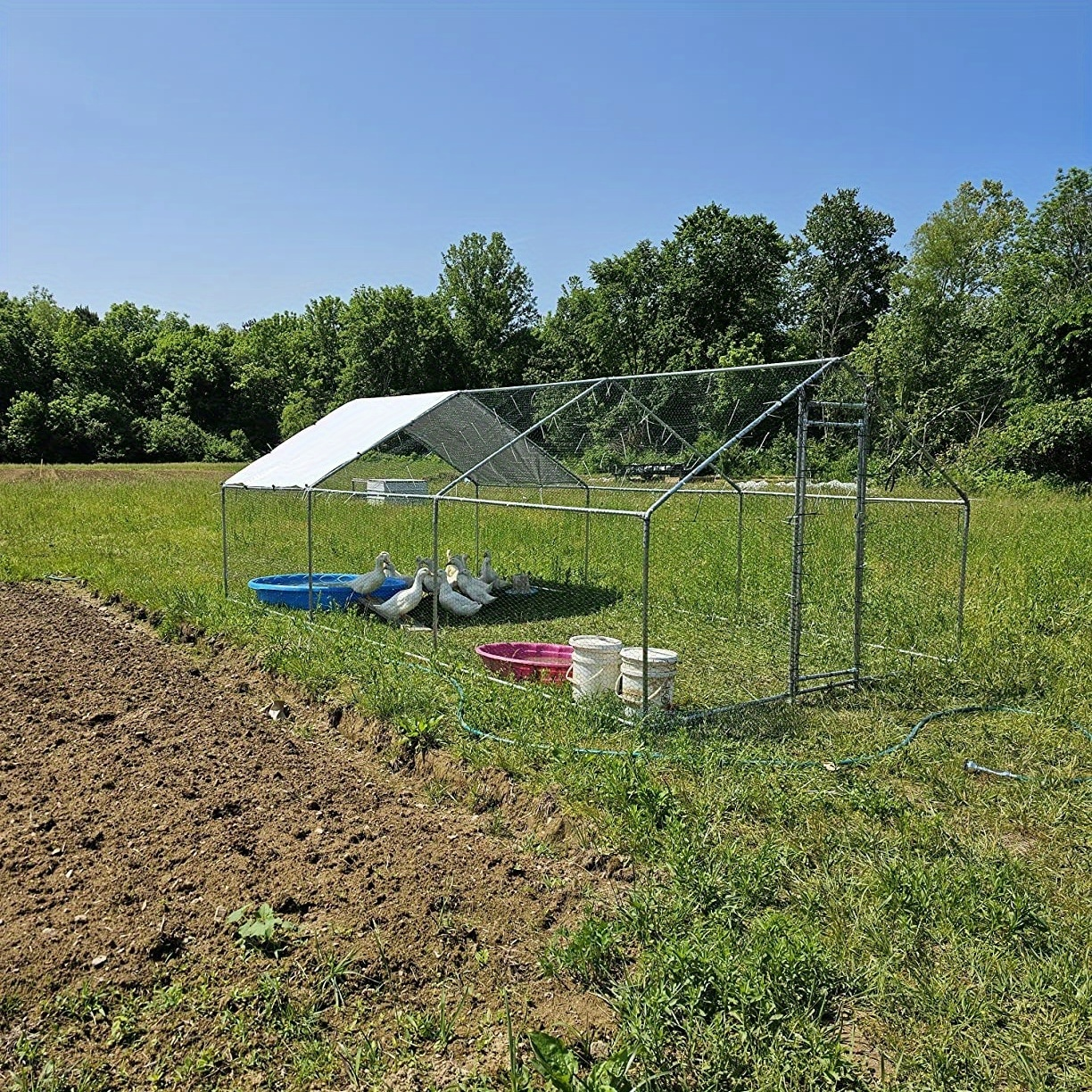 Walk-in Chicken Coop Large Heavy-Duty Metal Poultry Pen with Waterproof UV-Proof Roof Cover - Outdoor Backyard Farm Enclosure for Chickens Ducks Geese Rabbits, Multiple Sizes