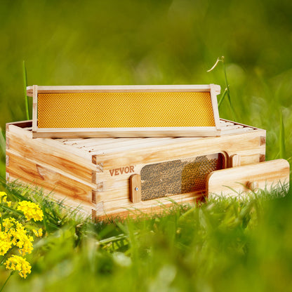 Beehive Kit 10 Frame Cedar Wood Bee Hive with Transparent Windows & Beeswax Coating