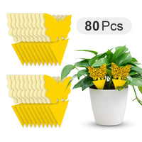 butterfly 80 pcs