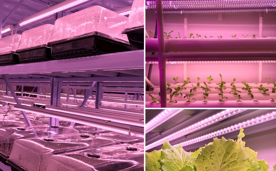 T8 Grow Light Strips 4ft 6-Pack Full Spectrum 270W | Pink White Spectrum LED 1620W Equivalent | Indoor Plants Greenhouse Seedling Veg Bloom Shelf