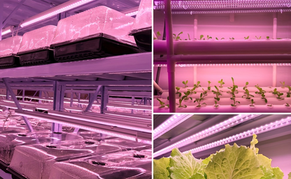 T8 Grow Light Strips 4ft 6-Pack Full Spectrum 270W | Pink White Spectrum LED 1620W Equivalent | Indoor Plants Greenhouse Seedling Veg Bloom Shelf