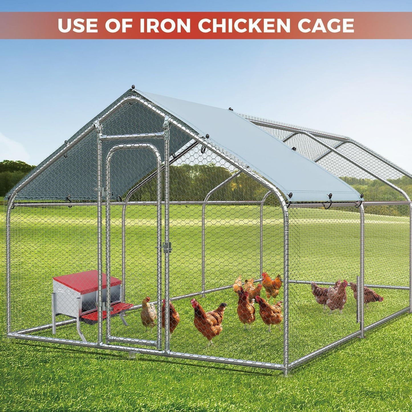 Chicken Nesting Box 3-Hole Metal Wall Mount | Auto Egg Collector Coop