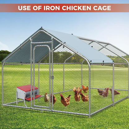 Chicken Nesting Box 3-Hole Metal Wall Mount | Auto Egg Collector Coop