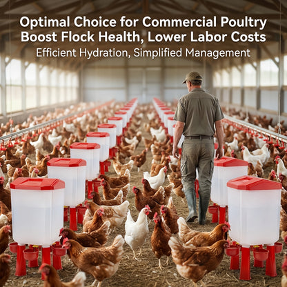 Automatic Chicken Waterer Float Ball 2 3 Gallon Feeder Combo Set
