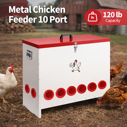 Gravity Chicken Feeder Stainless Steel 6 or 10 Port Rat-Proof