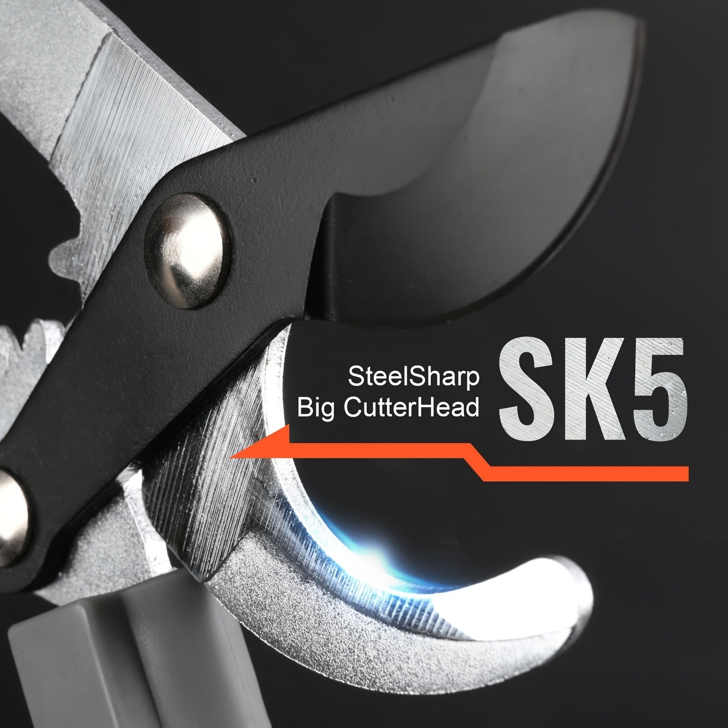 Long Reach Pruning Shears 18-38 Inch Extendable - Non-Stick Steel Blades Cut 2" Branches, Shock-Absorbing Handle, Heavy-Duty Hedge Shears for Tree & Shrub Trimming