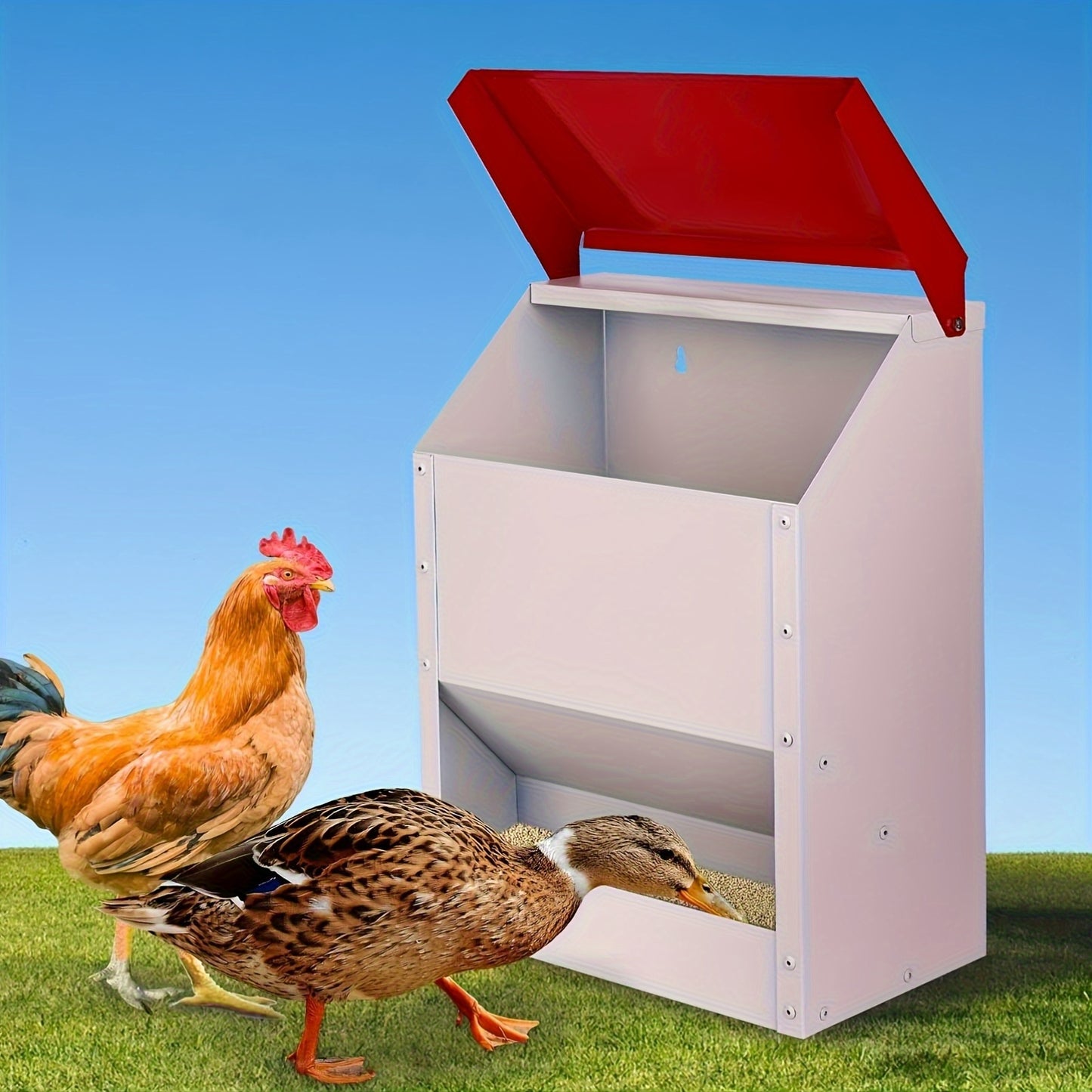 Chicken Feeder | Automatic Metal Galvanized Waterproof Wall Mount Coop