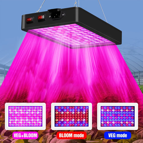 LED Grow Light 1000W Full Spectrum – Dual-Switch Plant Light for Veg & Bloom, Hydroponic Hanging Grow Lamp for Indoor Greenhouse, Vegetables, Flowers & Seedlings, Plug & Play