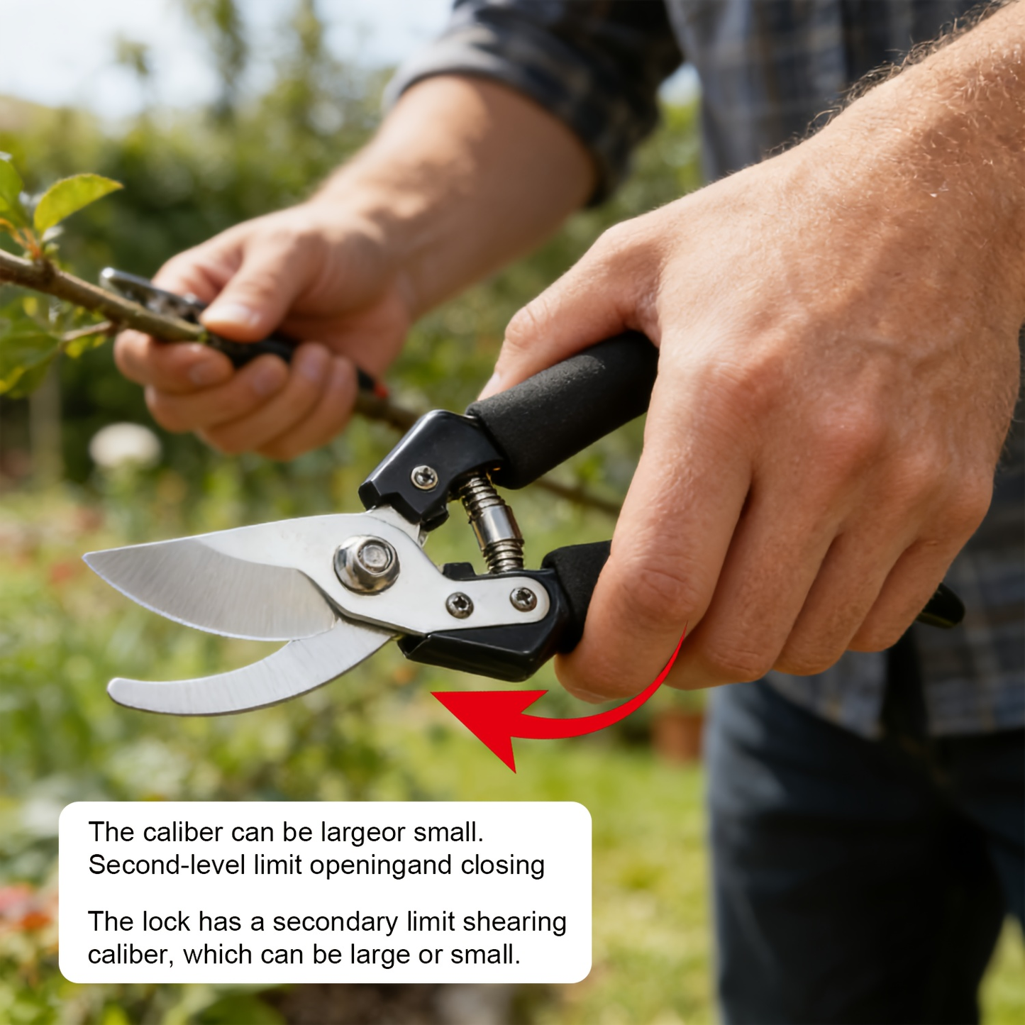 Stainless Steel Pruning Shears with Sharpening Stone, Ergonomic Comfort Grip Garden Scissors for Home Gardening, Flower Arranging & Plant Trimming – Long-Lasting Sharp Blades