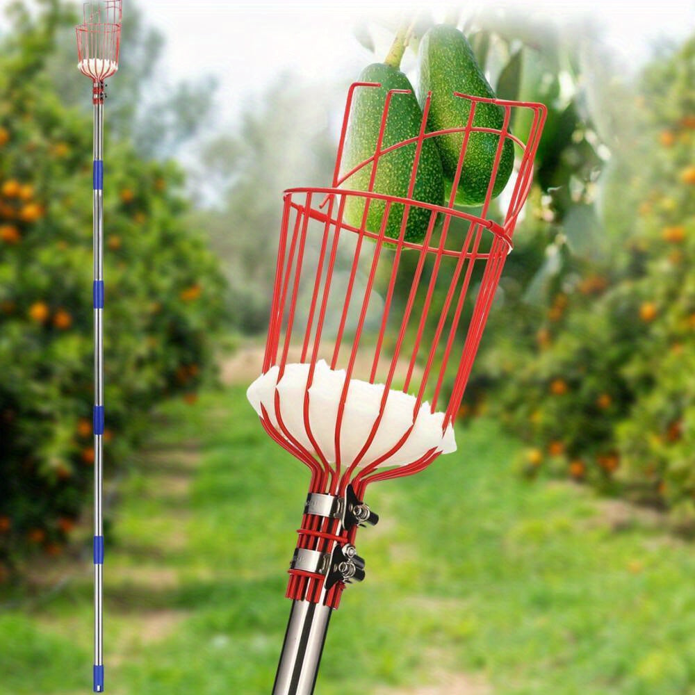 Fruit Picking Pole with Basket 8FT Height Adjustable - Fruit Catcher Tree Picker for Mango, Lemon, Orange, Apple & More - Long Reach Orchard Harvesting Tool for Tall Trees