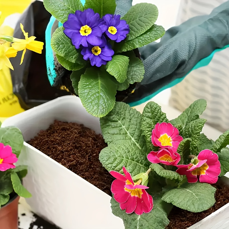 Coco Coir Bricks Natural Coconut Fiber Planting Soil | Compressed Coir Block Expands 6x for Hydroponics Potting Mix Garden Beds | 200g 400g 800g Options