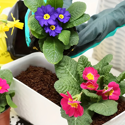 Coco Coir Bricks Natural Coconut Fiber Planting Soil | Compressed Coir Block Expands 6x for Hydroponics Potting Mix Garden Beds | 200g 400g 800g Options