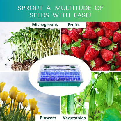 Seed Starting Tray Kit 4-Set 160 Cells High Dome | 8 LED Grow Lights Smart Timer 3 Modes 5 Brightness | Indoor Greenhouse Germination Propagation