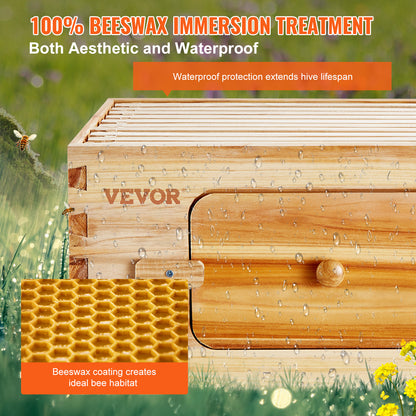 Beehive Kit 10 Frame Cedar Wood Bee Hive with Transparent Windows & Beeswax Coating