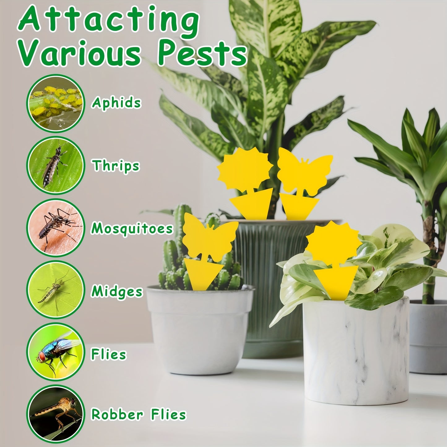 Fungus Gnat Traps & Fruit Fly Sticky Traps for Indoor Outdoor Plants – Non-Toxic Butterfly Gerbera Shape, 40–120 Pack