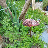 big leaf