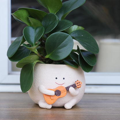 Cute Hanging Planters with Funny Face & Bear Design – Unique Decorative Flower Pots for Indoor Plants, Home, Office & Garden – Fun Plant Gift for Mom