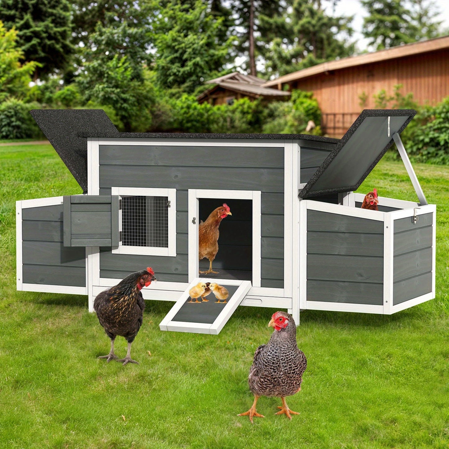 Hen House 67" for 4-6 Chickens with 2 Nesting Boxes | Wooden Chicken Coop with Weatherproof Roof, Removable Tray, Metal Wire Mesh & Ramp – Rabbit Hutch Duck Coop Outdoor