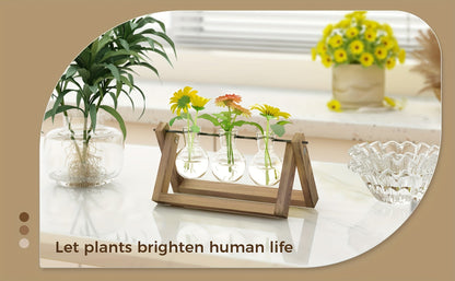 Glass Terrarium Heart Shaped Hydroponic Vase with Wooden Stand - Elegant Plant Propagation Station for Home Decor, Romantic Gift Idea for Women Plant Lovers, Boho Desk Decor