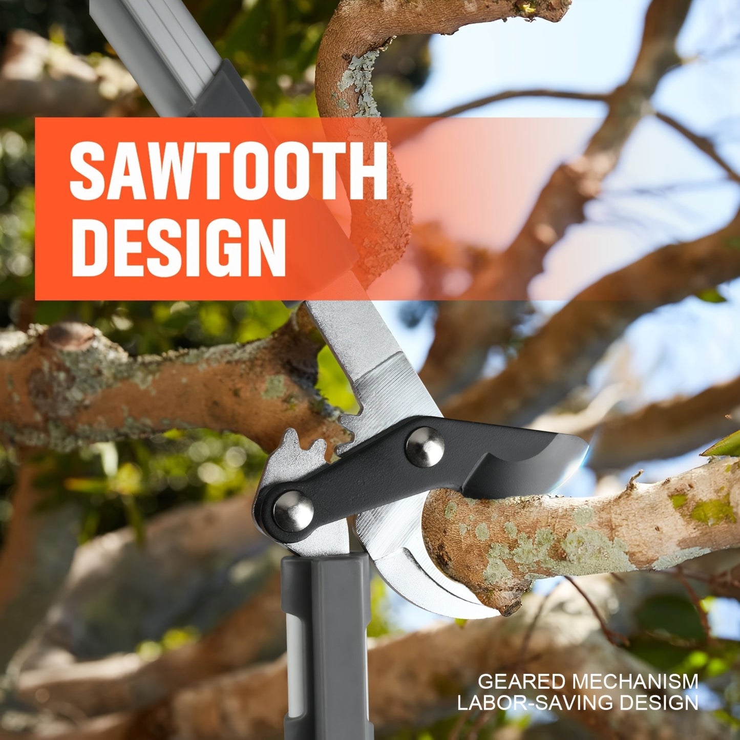 Long Reach Pruning Shears 18-38 Inch Extendable - Non-Stick Steel Blades Cut 2" Branches, Shock-Absorbing Handle, Heavy-Duty Hedge Shears for Tree & Shrub Trimming