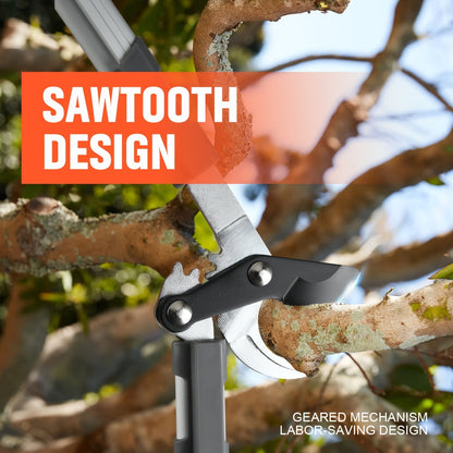 Long Reach Pruning Shears 18-38 Inch Extendable - Non-Stick Steel Blades Cut 2" Branches, Shock-Absorbing Handle, Heavy-Duty Hedge Shears for Tree & Shrub Trimming