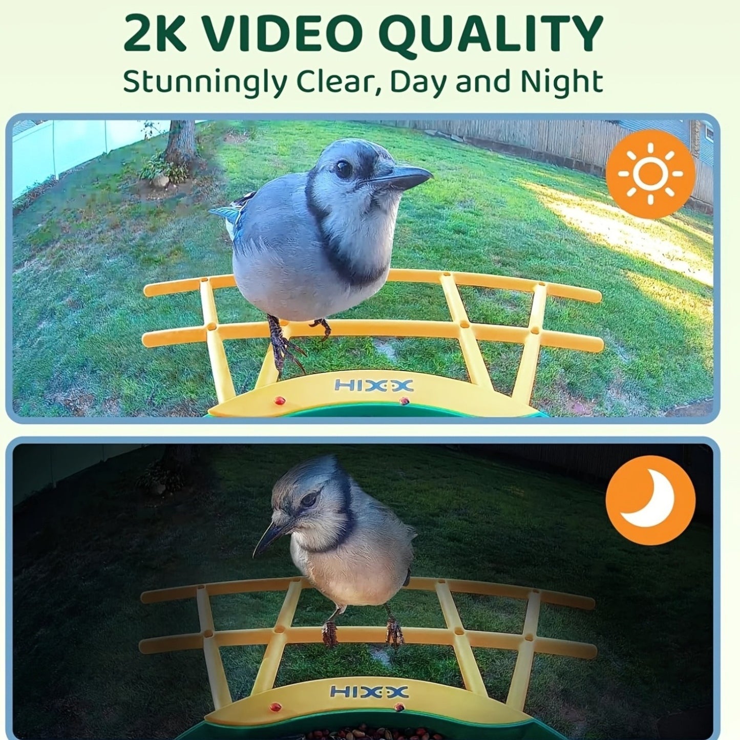Smart Bird Feeder with Camera AI Bird Identification, 2K HD Live View, Auto Capture & Color Night Vision, Outdoor Wireless Bird Watching Gift for Bird Lovers, Green