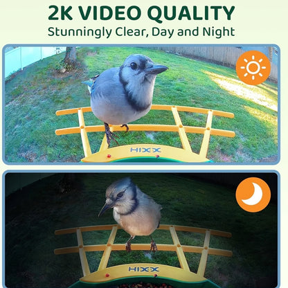 Smart Bird Feeder with Camera AI Bird Identification, 2K HD Live View, Auto Capture & Color Night Vision, Outdoor Wireless Bird Watching Gift for Bird Lovers, Green
