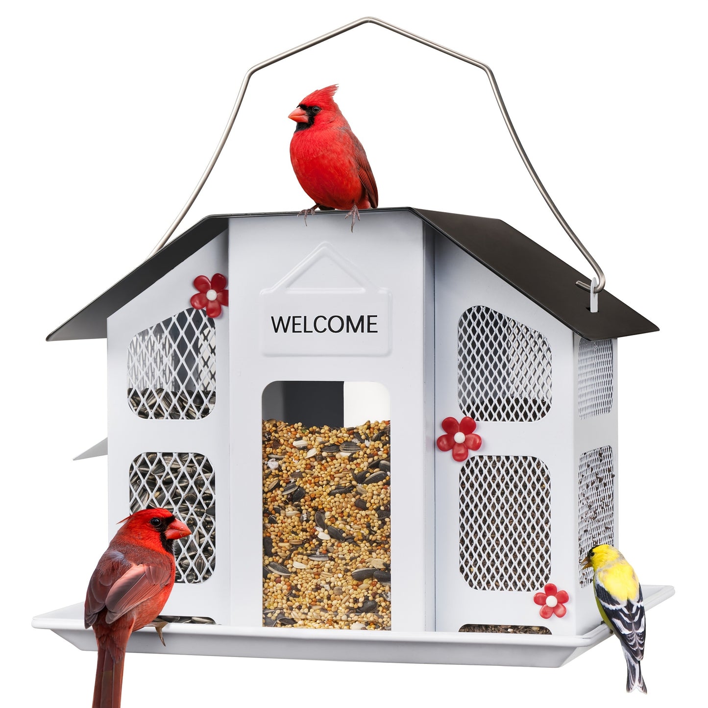 Metal Bird Feeder for Outside - 4 Lbs Large Capacity Hanging Wild Bird Feeder