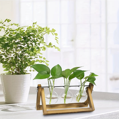 Propagation Station 3 Bulb Glass Vase with Wooden Stand - Hydroponic Plant Terrarium for Home Office Desk Decor, Unique Gardening Gift for Women Plant Lovers, Boho Cottagecore