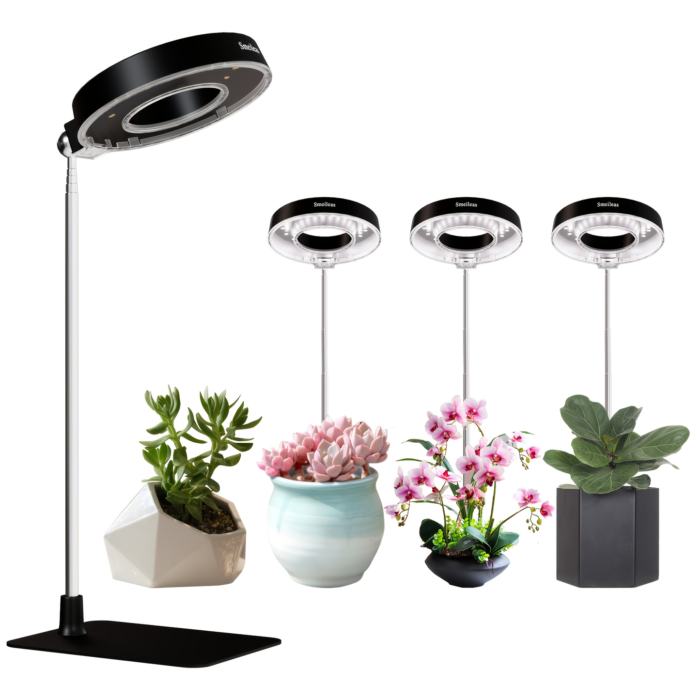 Magnetic Grow Light with 360° Adjustable Head – Full Spectrum Plant Growth Lamp with Auto Timer, 4-Level Dimmer & Adjustable Height for Indoor Herbs, Flowers & Seedlings, 2pc or 6pc