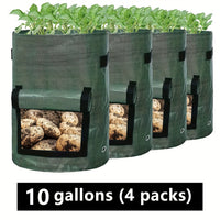 10 gallons (4 packs)