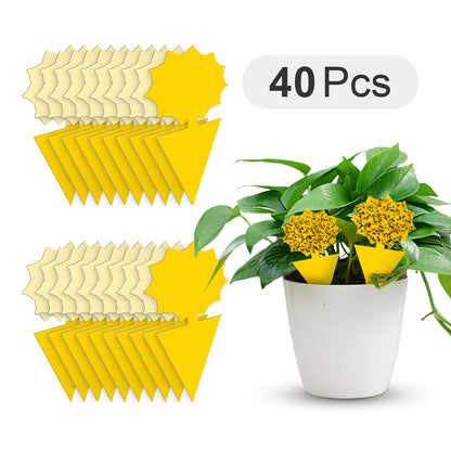 Fungus Gnat Traps & Fruit Fly Sticky Traps for Indoor Outdoor Plants – Non-Toxic Butterfly Gerbera Shape, 40–120 Pack