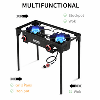Enhanced Double Burner Stove