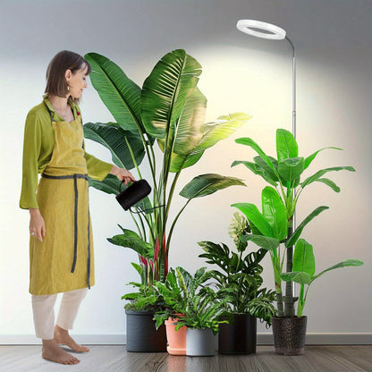 Plant Light Full Spectrum Gooseneck 360° | 3 Color Modes 10 Dimming Levels 3/6/12H Timer 65'' Telescopic Pole | Indoor Grow Lamp Large Plants Black White