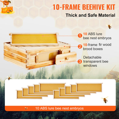 Beehive Kit 10 Frame Cedar Wood Bee Hive with Transparent Windows & Beeswax Coating