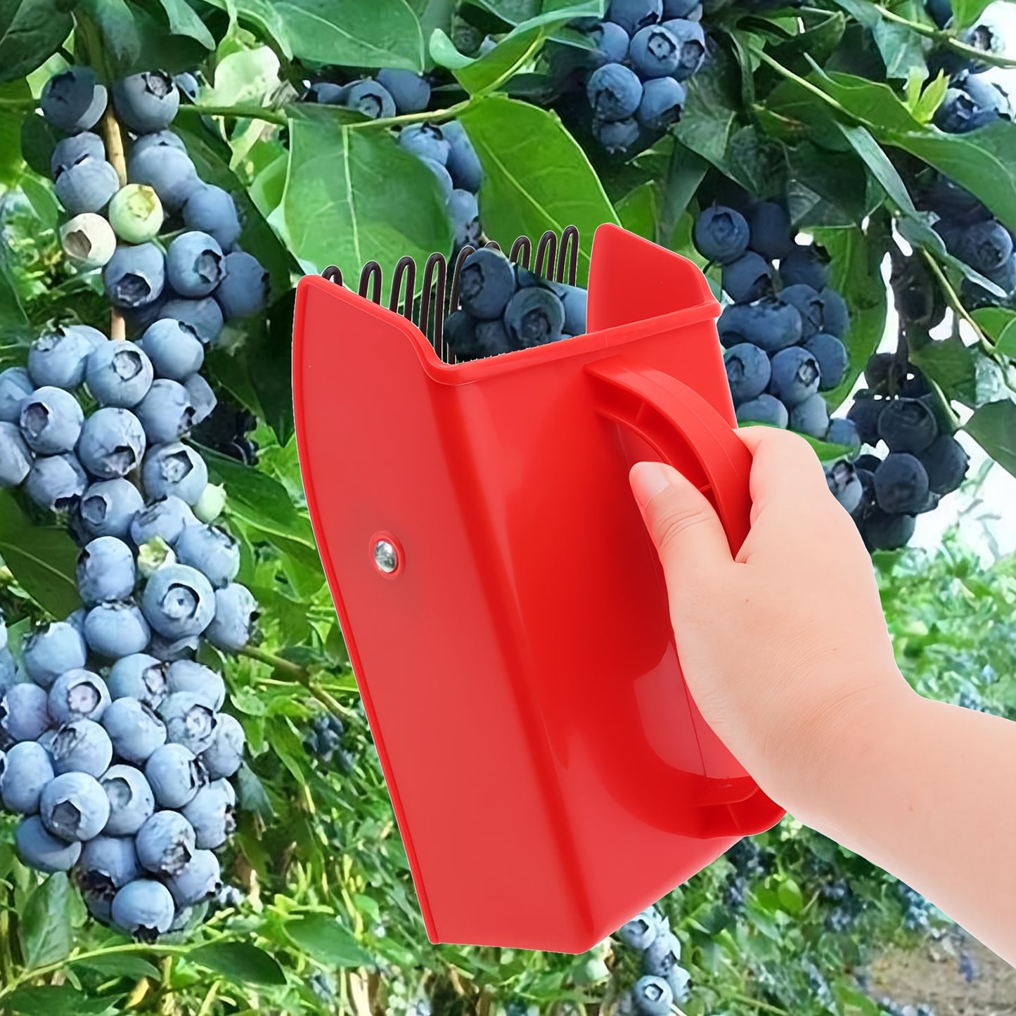 Berry Picker | Blueberry Rake Scoop Lingonberry Huckleberry Garden