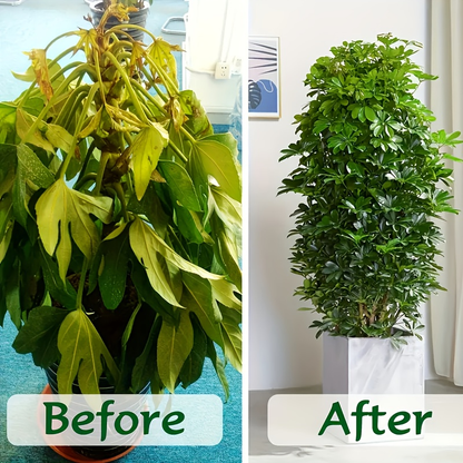 Coco Coir Bricks Natural Coconut Fiber Planting Soil | Compressed Coir Block Expands 6x for Hydroponics Potting Mix Garden Beds | 200g 400g 800g Options