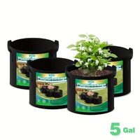 5 Gallons