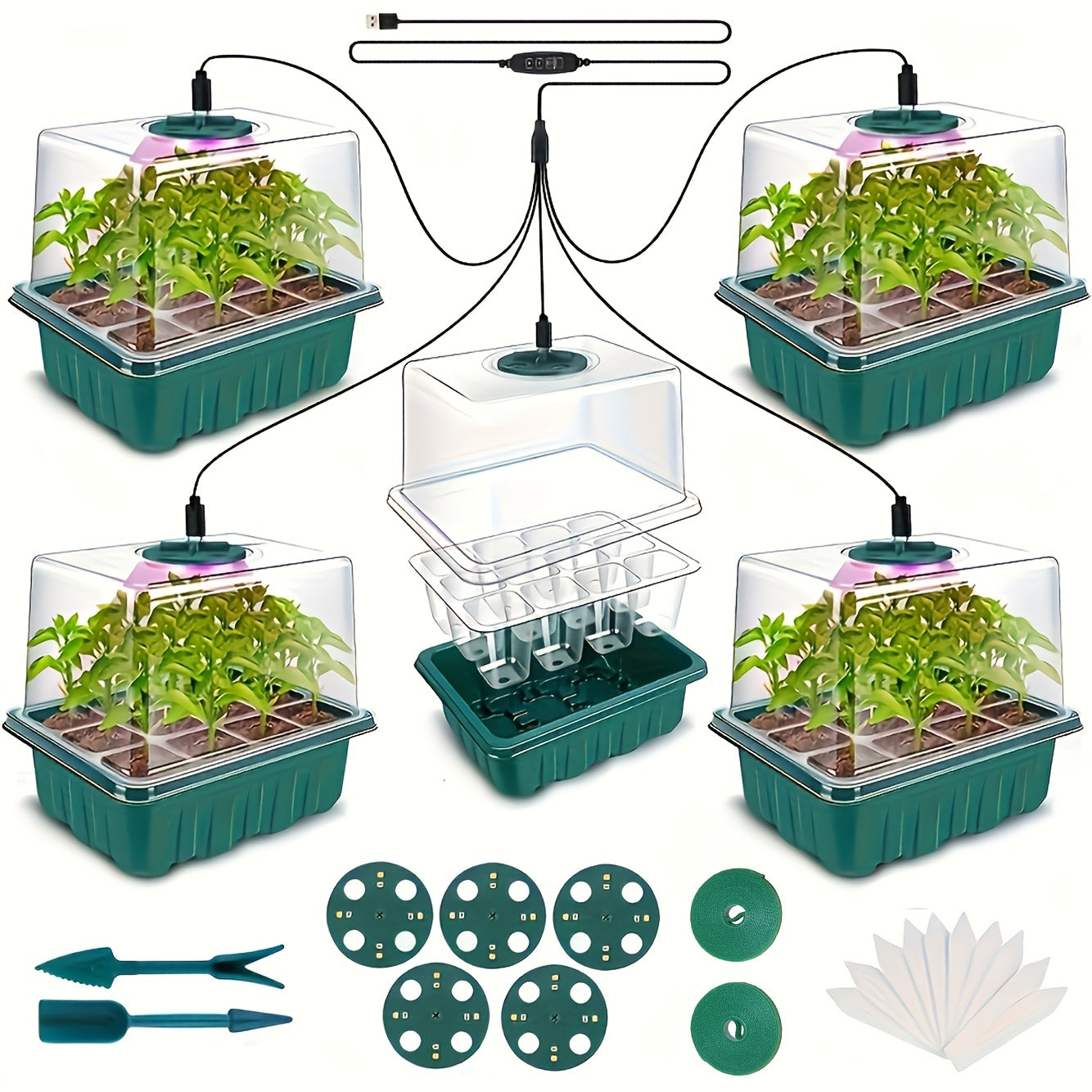 Seed Starting Kit LED Grow Light Timer | Indoor Seedling Tray Dome