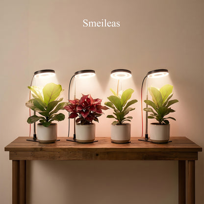 Grow Light for Indoor Plants 4-Head Full Spectrum | 720° Rotatable Retractable Pole 4 Dimming Modes Auto Timer 3/6/9H USB | Desktop Potted Plants