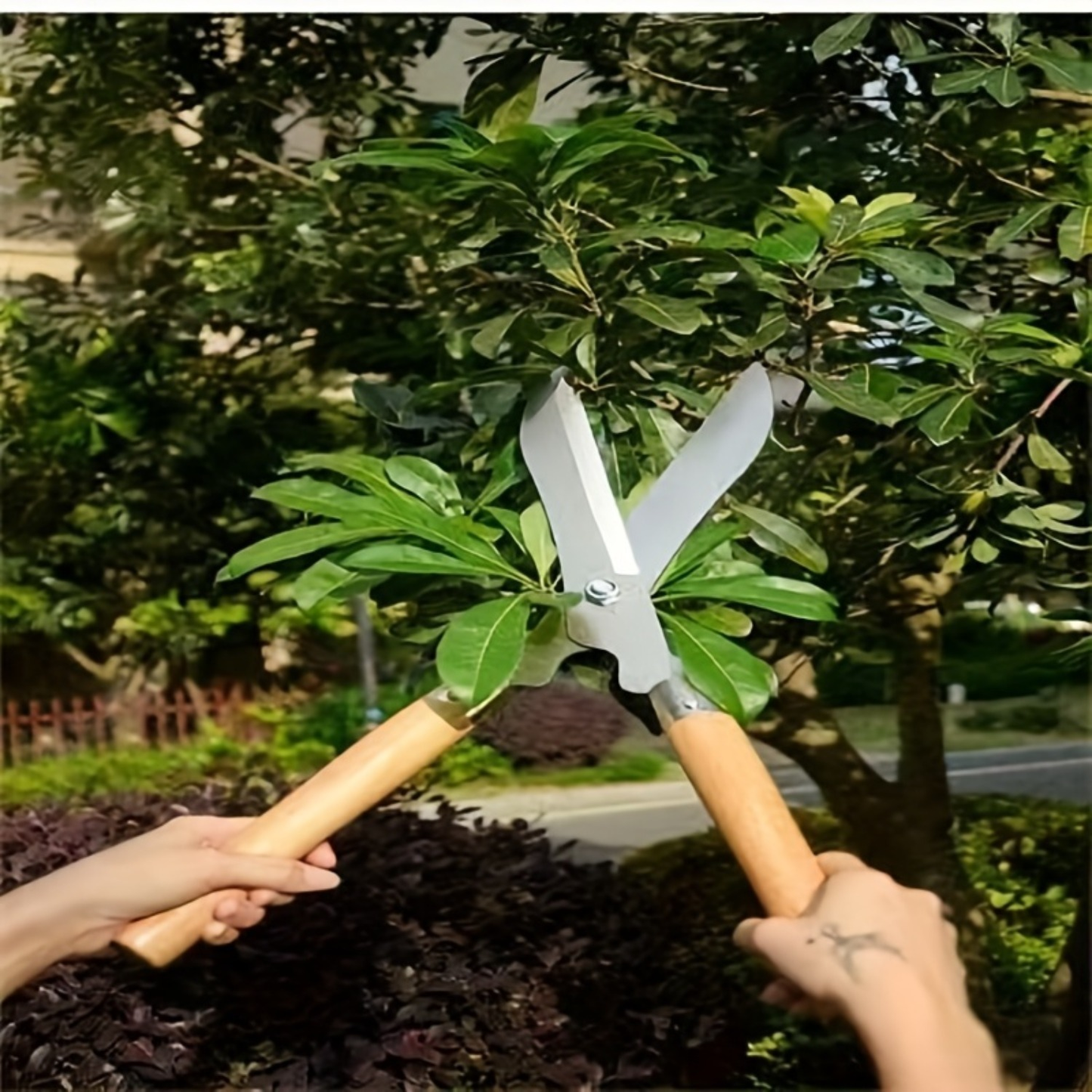 Hedge Shears 11-Inch Extra-Long Carbon Steel Blade, Heavy Duty Garden Scissors with Ergonomic Walnut Handle for Lawn Edging, Bushes, Hedges & Topiary Trimming