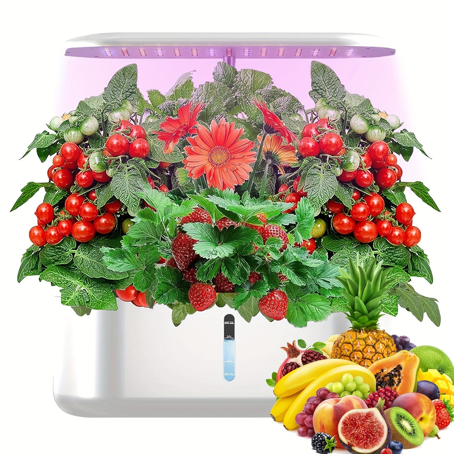 Hydroponic Garden Kit 10 Pods Indoor Herb Garden | 24W LED Grow Light Auto Timer 1-Gal Tank Quiet Pump Nutrients | Vegetables Flowers Year-Round Harvest