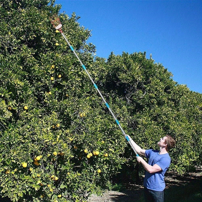 Fruit Picking Pole with Basket 8FT Height Adjustable - Fruit Catcher Tree Picker for Mango, Lemon, Orange, Apple & More - Long Reach Orchard Harvesting Tool for Tall Trees