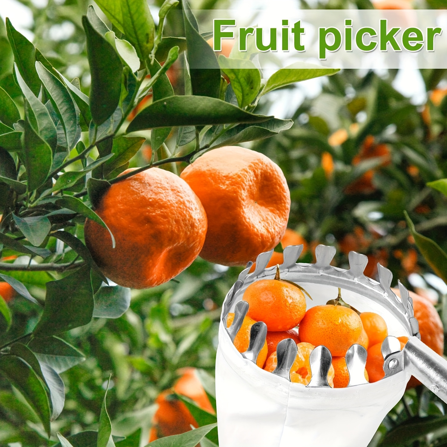 Fruit Picker Stainless Steel Adjustable Extension Pole - Tall Tree Orchard Picking Tool with Non-Slip Handle for Apples, Avocados, Peaches, Pears, Lemons, Cherries & Plums - 63 to 157 Inch