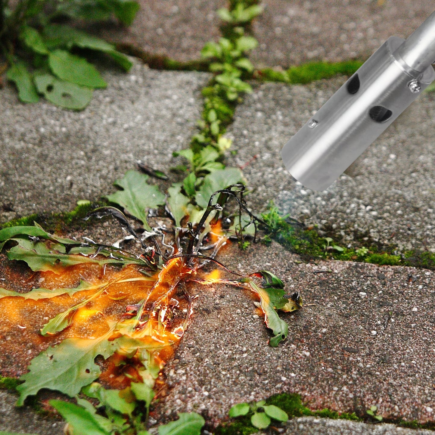 Propane Weed Torch Self Igniting | Garden Ice Melt Fire Starter Burner