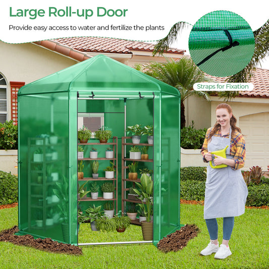 Walk-In Greenhouse 85"x72"x90" with PE Cover, Roll-Up Door & Mesh Window, 6 Ground Stakes & Ropes for Secure Outdoor Setup, Green
